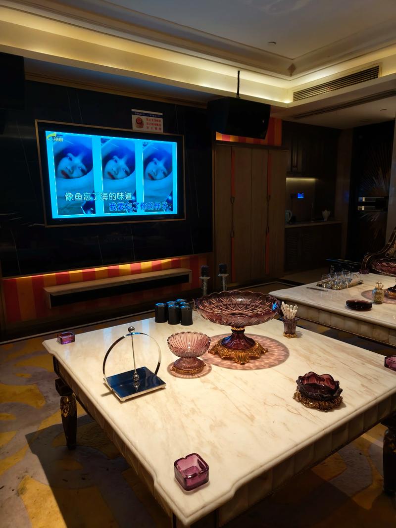 南阳商务ktv及商务ktv什么意思解析-西峡县ktv预订